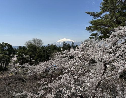 【春】弘前市まで足をのばして。