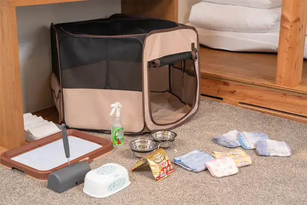 อุปกรณ์สำหรับสัตว์เลี้ยง