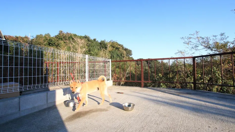 Tiz wan Tsuna Awaji