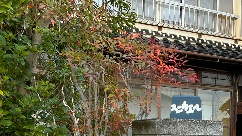 Sunikaeru