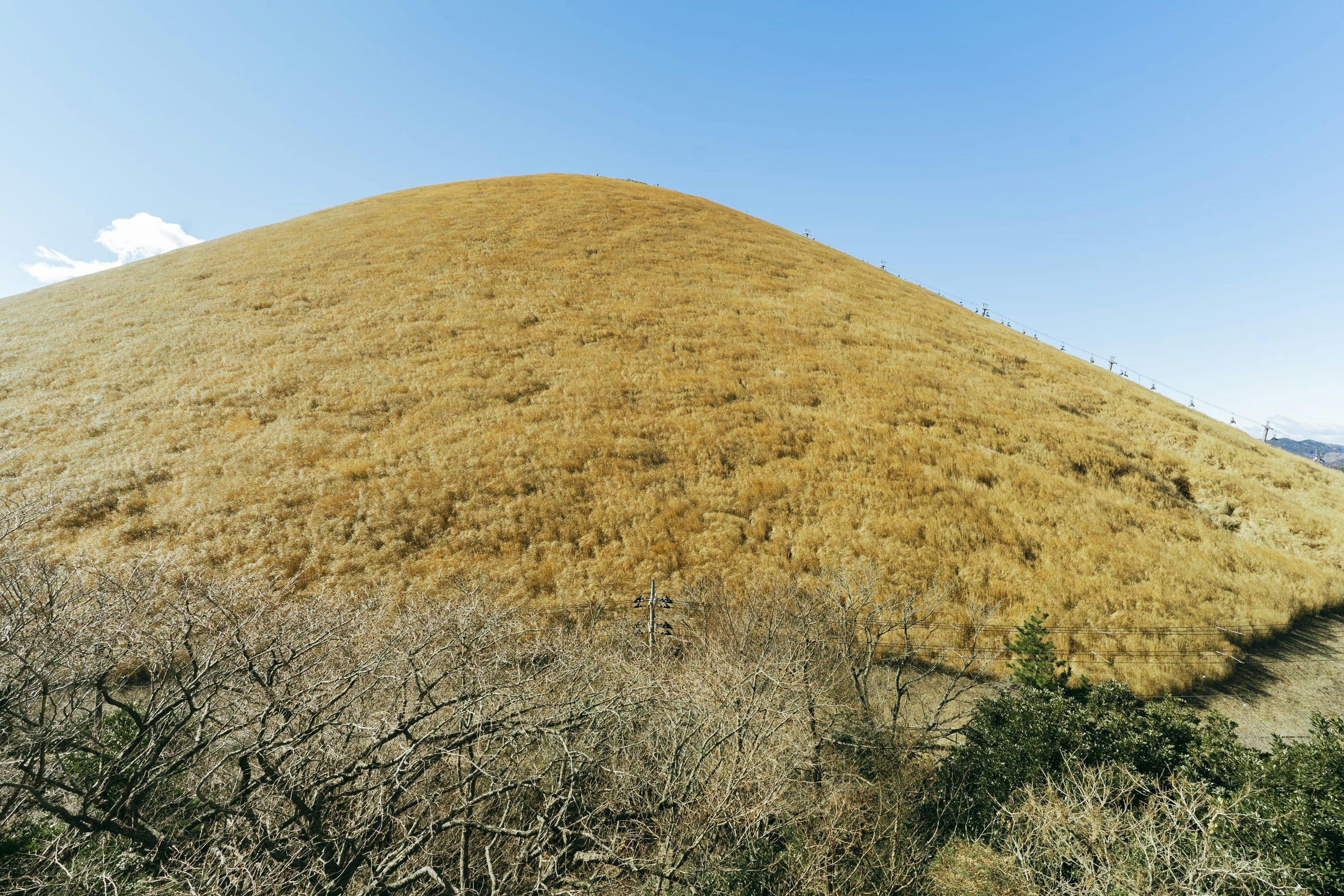 COCO VILLA Omuroyama -Izu Omuroyama-
