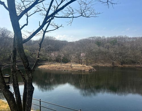 徒歩5分のしらさぎ湖