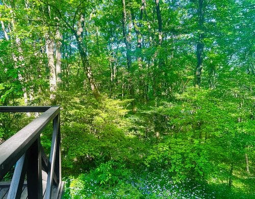 バルコニー周辺の様子