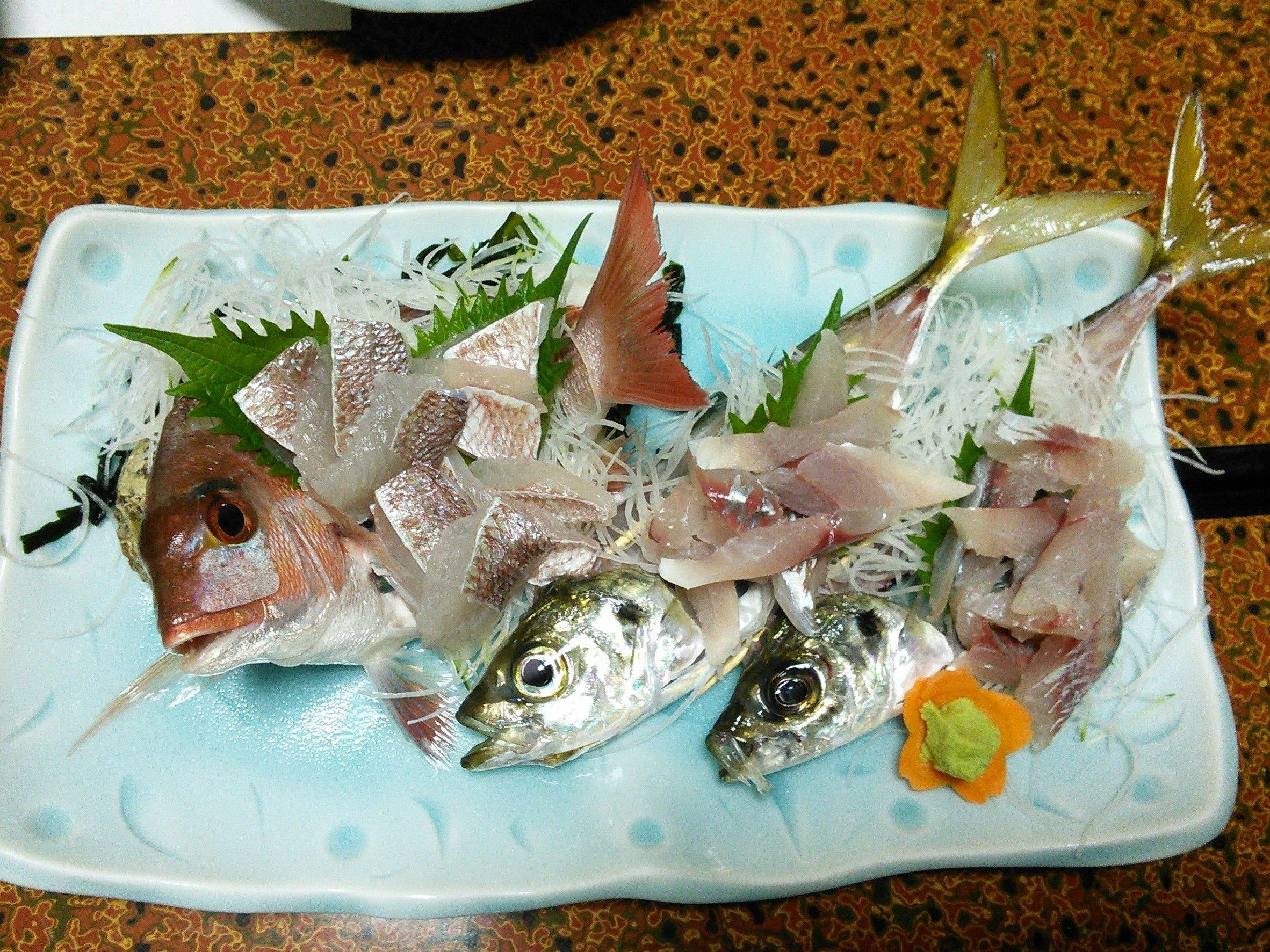 Ikan yang ditangkap
