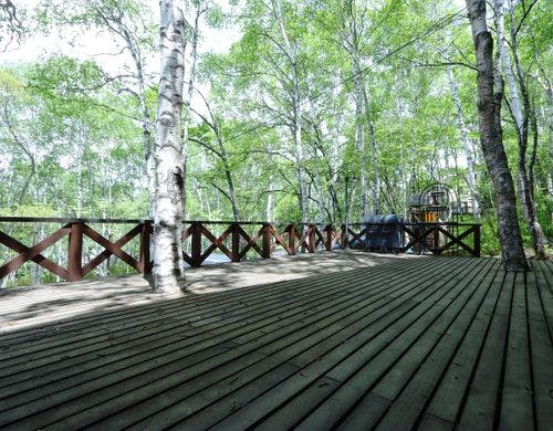 テラス（グリーンシーズン）