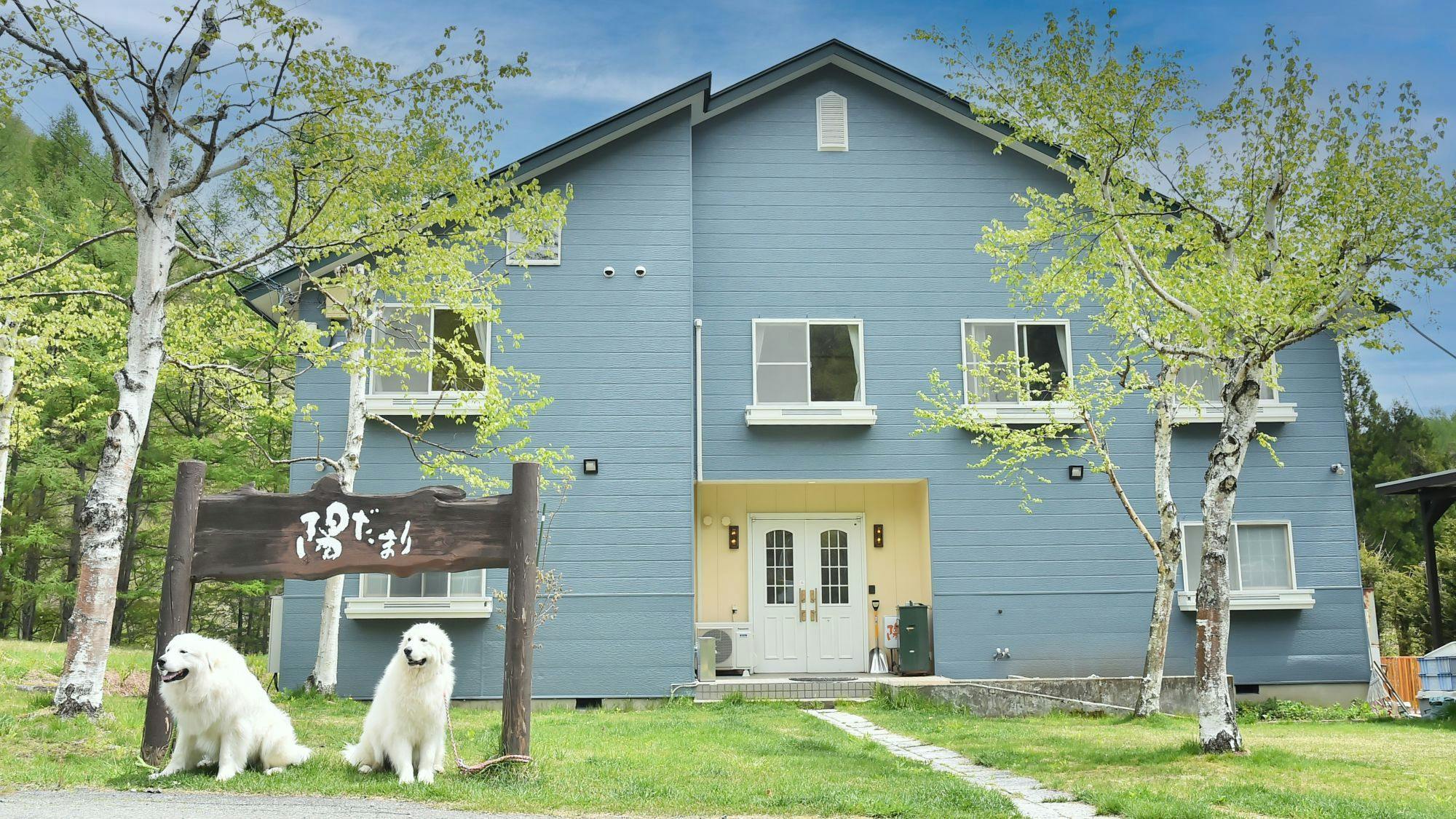 ペットと泊まる　陽だまり 施設全景
