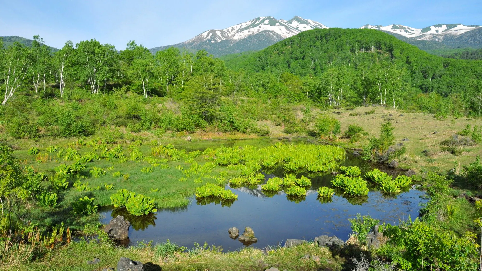 Norikura Kogen Maime no Ike