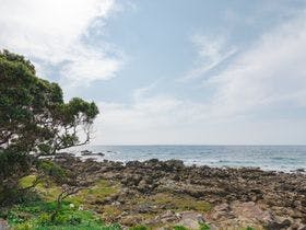 住吉ビレッジ種子島