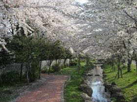 高遠温泉　竹松旅館