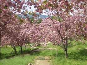 高遠温泉　竹松旅館