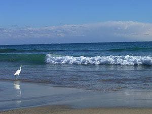 *ชิราโกะ/ชายหาดนาคาซาโตะ