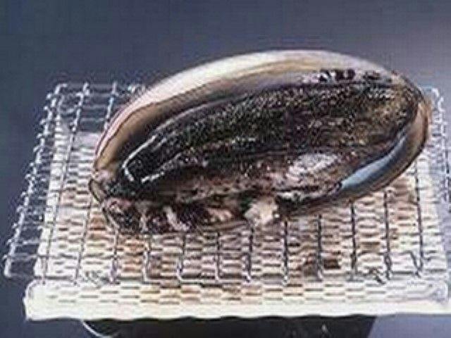 Ryokan Amimoto