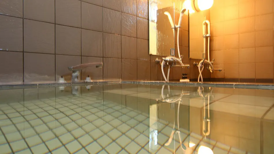 Omukou Ryokan