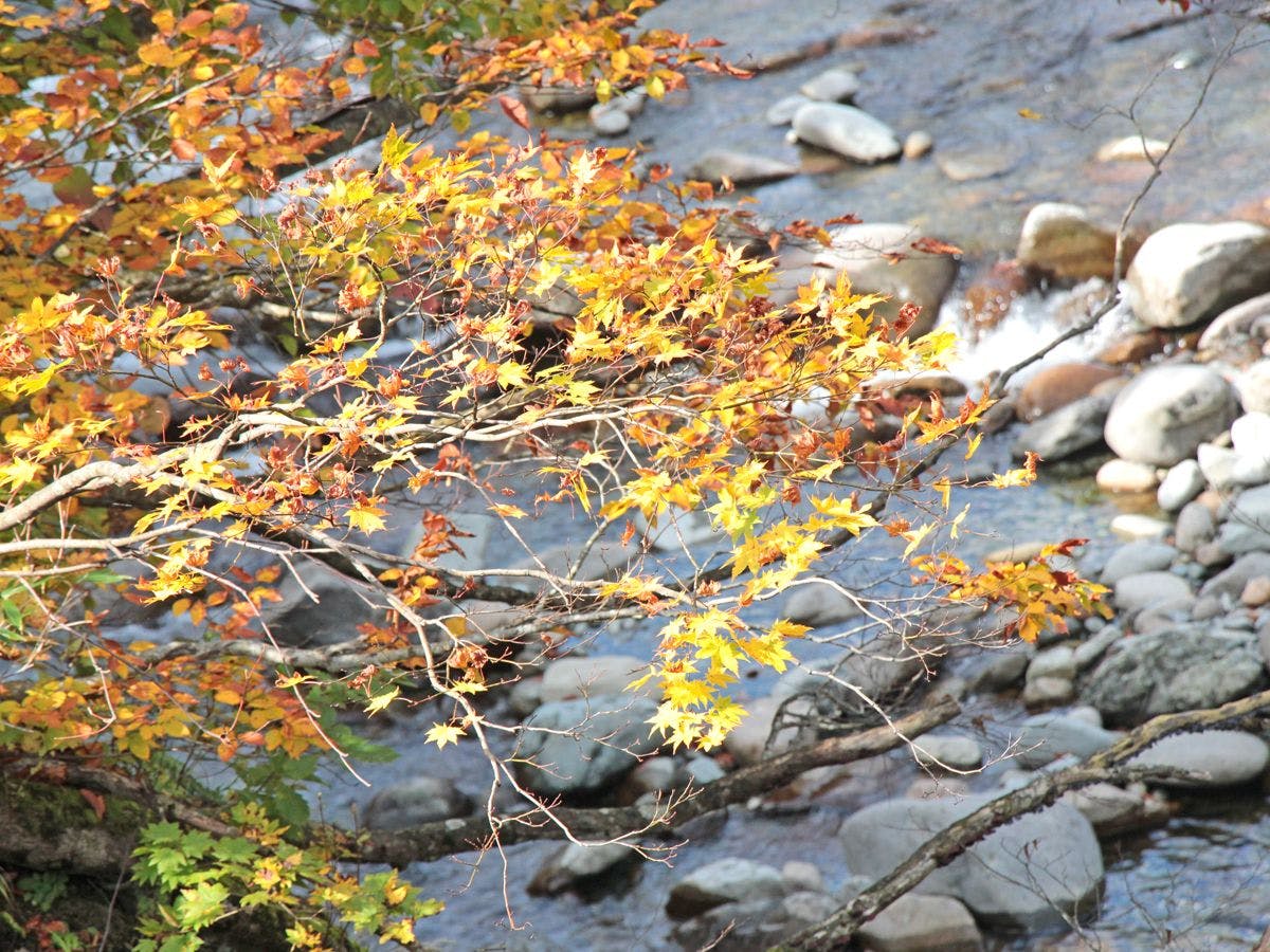Ginzan-daira Onsen Okutadami Sanso