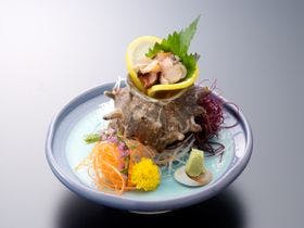 伊豆　伊東温泉　陽気館