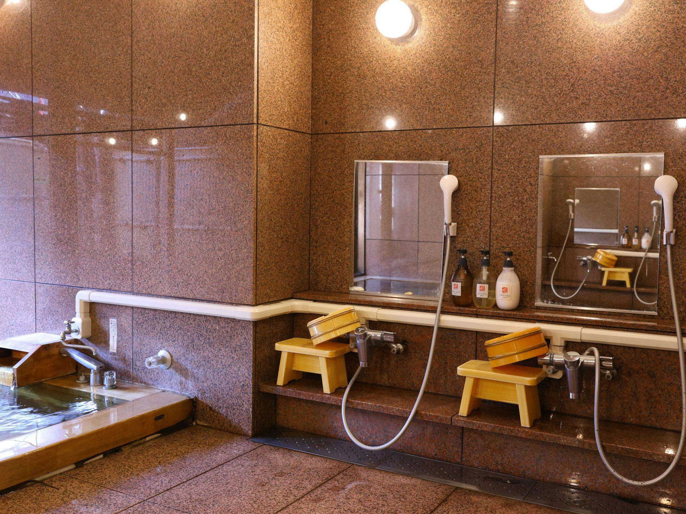 Shoji Mount Hotel