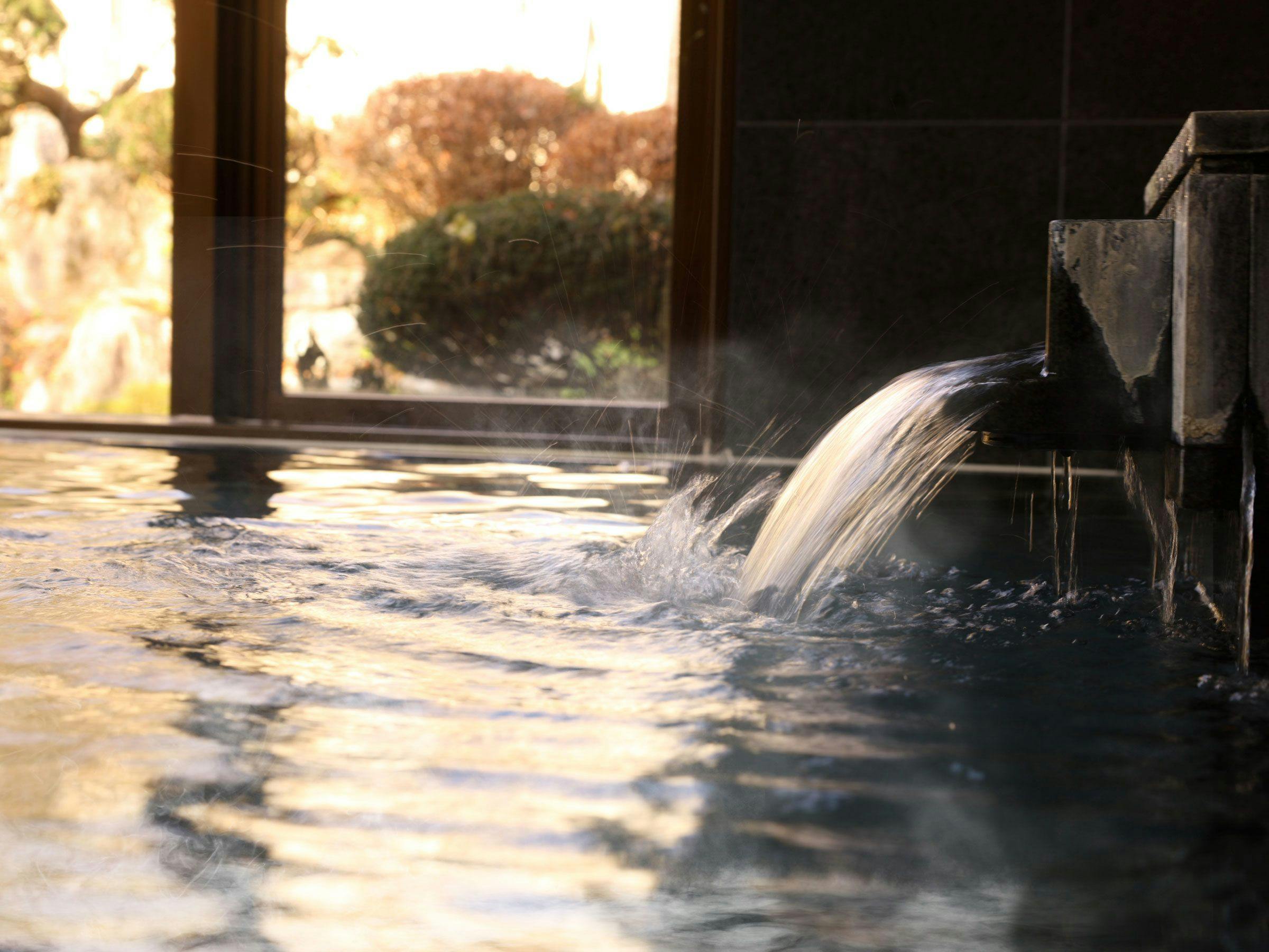 Shoji Mount Hotel