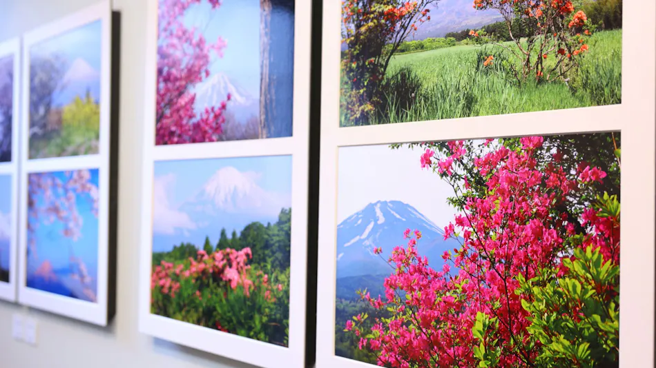 Shoji Mount Hotel