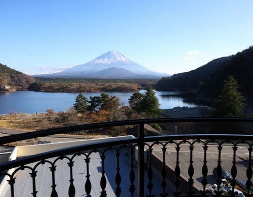 【特別和洋室B】16平米