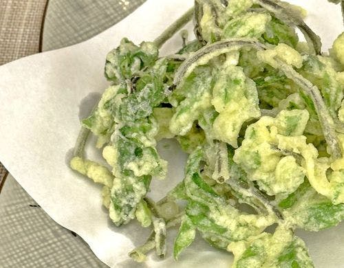 季節の山菜一例