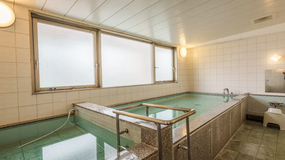 Nagano Linden Plaza Hotel