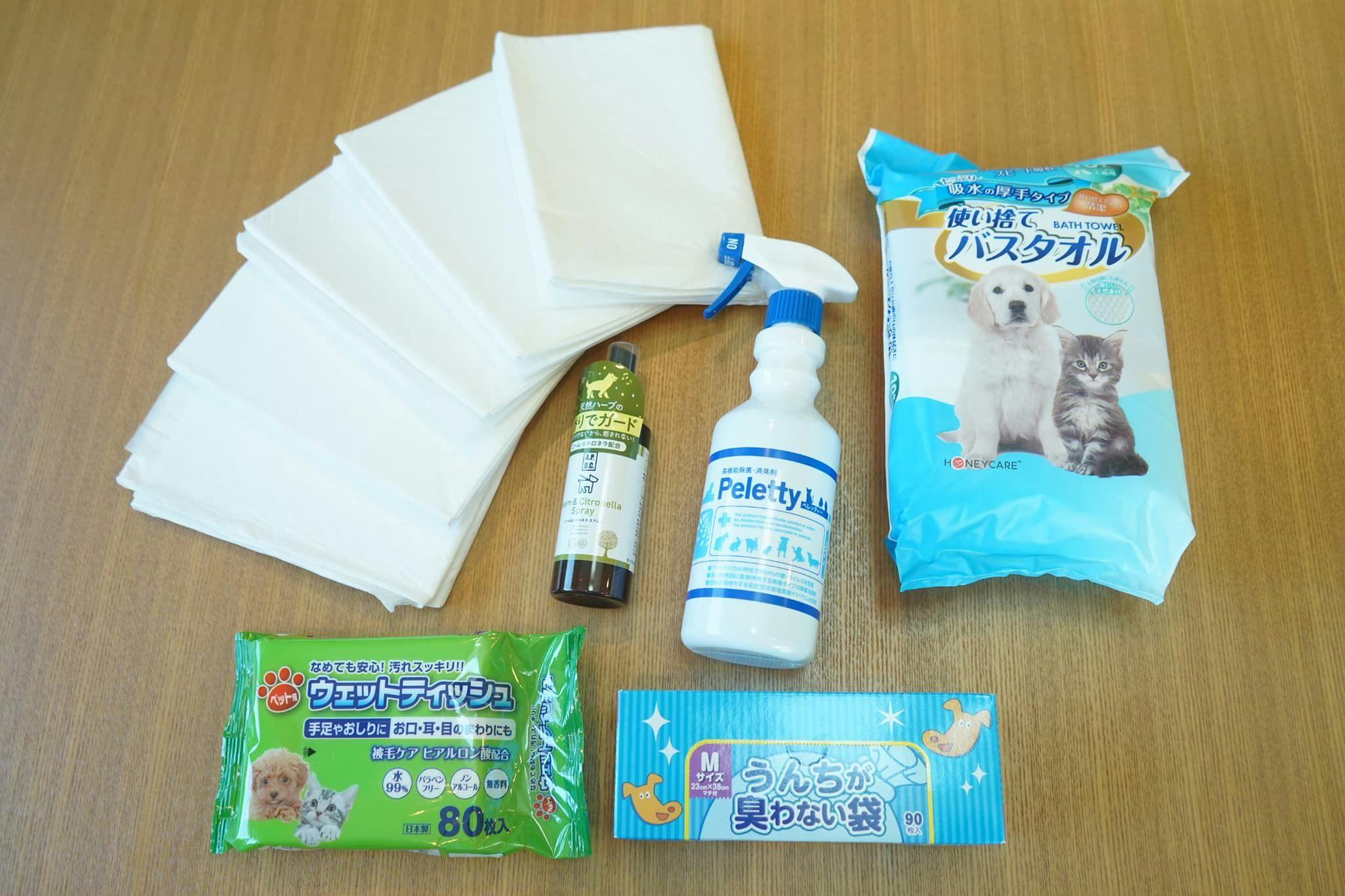 COCO VILLA Minamiboso Dog Stay