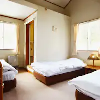 ห้องพักแบบตะวันตกสำหรับ 3 ท่าน (พร้อมอ่างอาบน้ำและห้องน้ำในตัว)