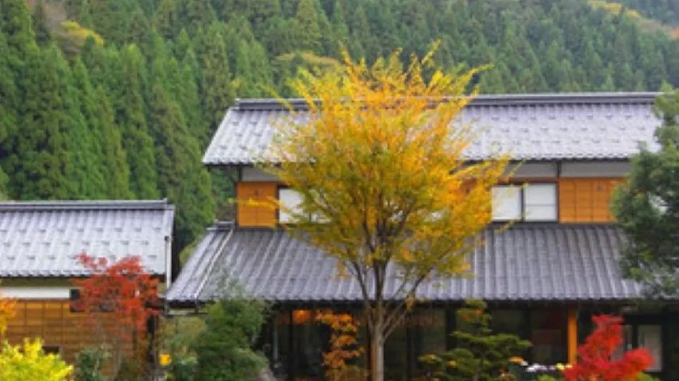"Yama no Ki" Kyara