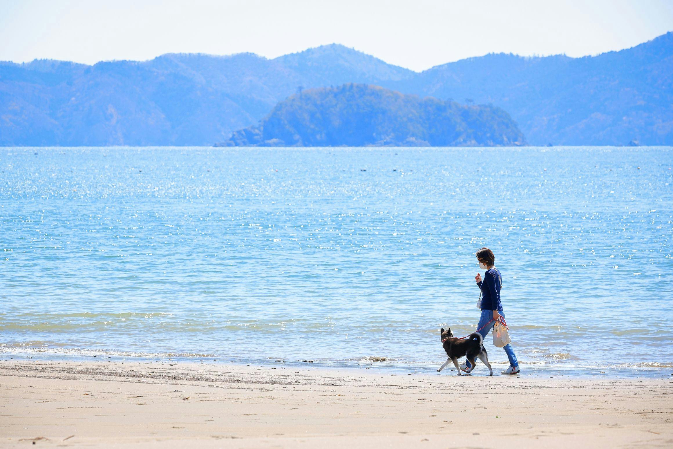 ชายหาดชิราฮามะ พาร์ค เดิน 10 นาที