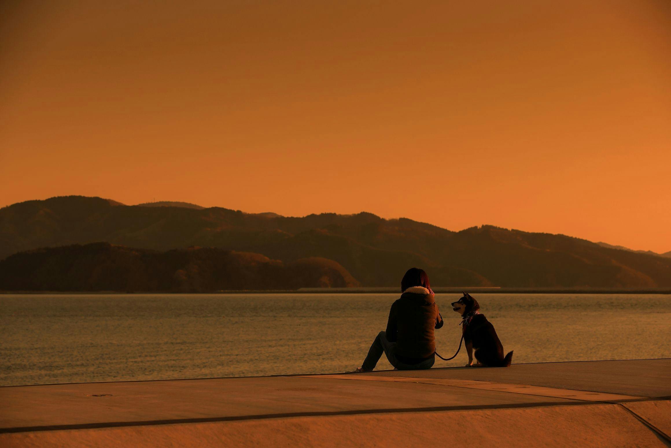 หาดชิราฮามะ บีช พาร์ค