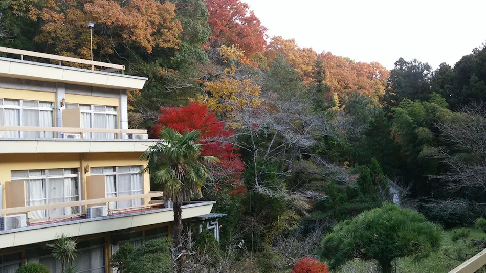 Iwaki Yumoto Onsenkyo Shiratori Onsen Harukiya Ryokan