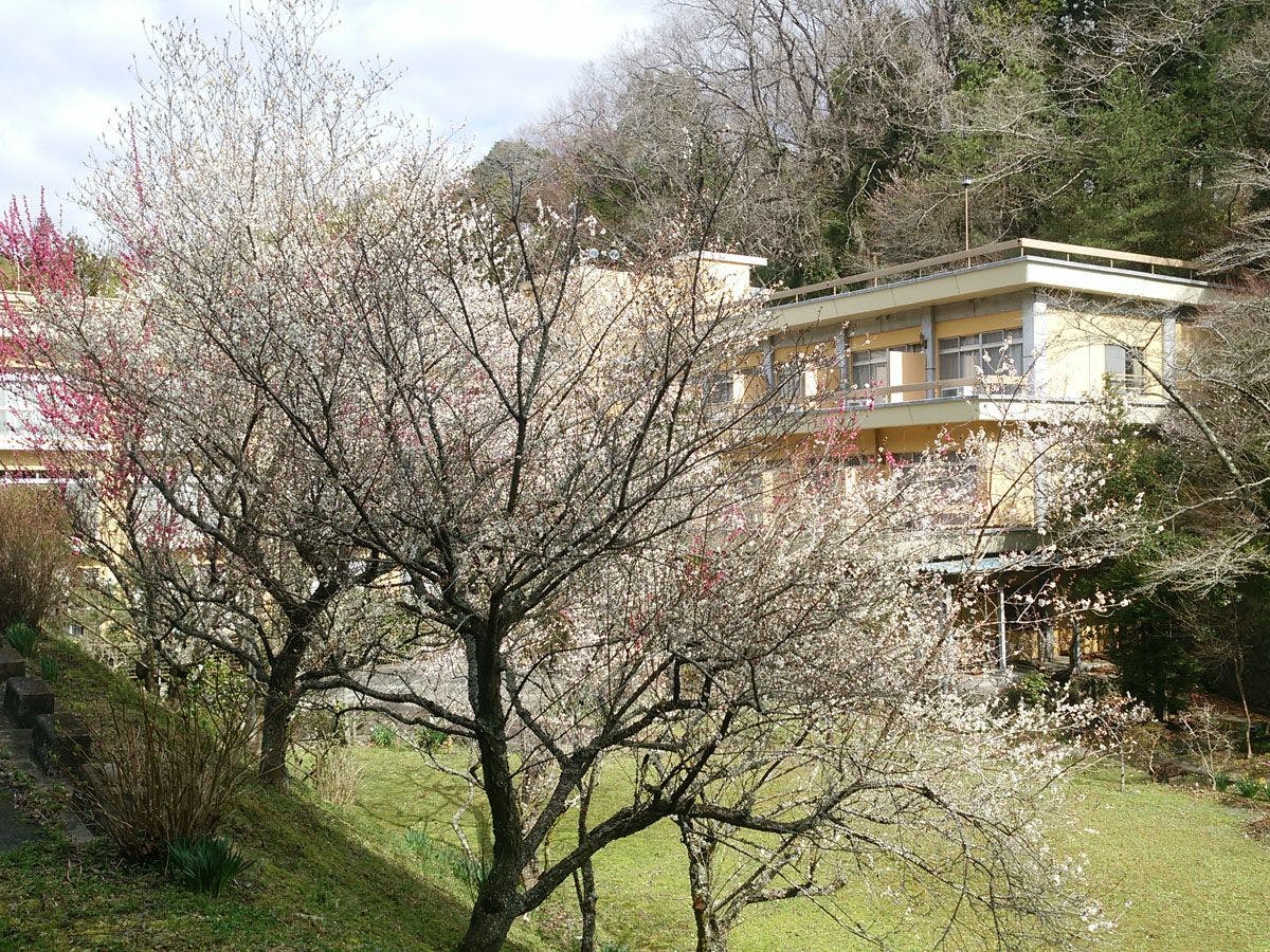 Iwaki Yumoto Onsenkyo Shiratori Onsen Harukiya Ryokan