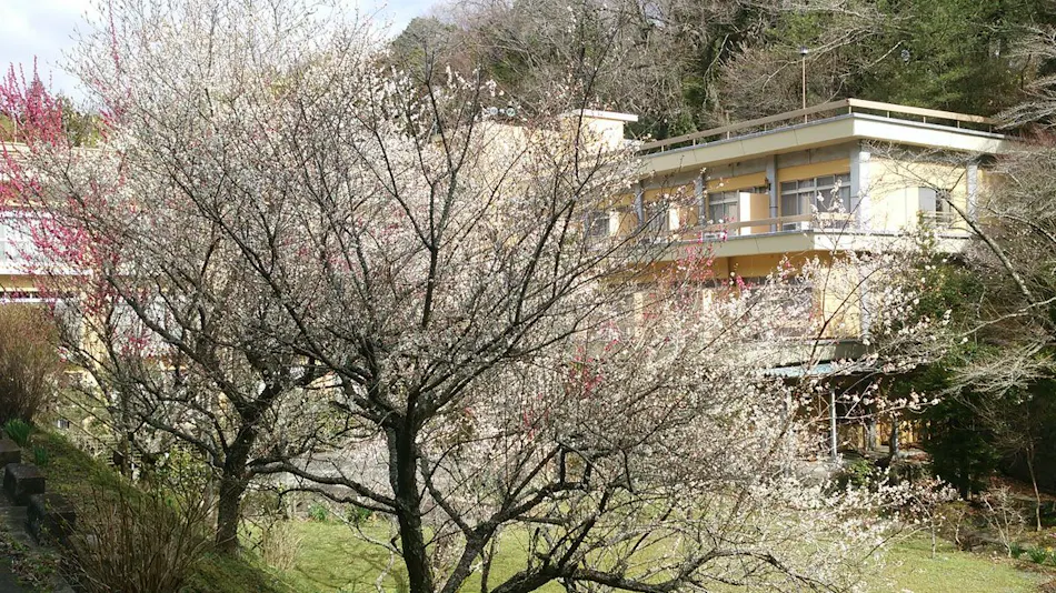 Iwaki Yumoto Onsenkyo Shiratori Onsen Harukiya Ryokan