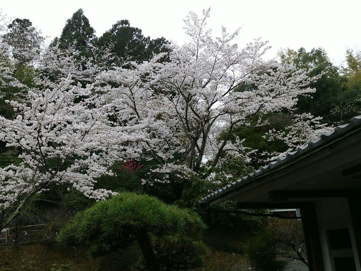 Iwaki Yumoto Onsenkyo Shiratori Onsen Harukiya Ryokan