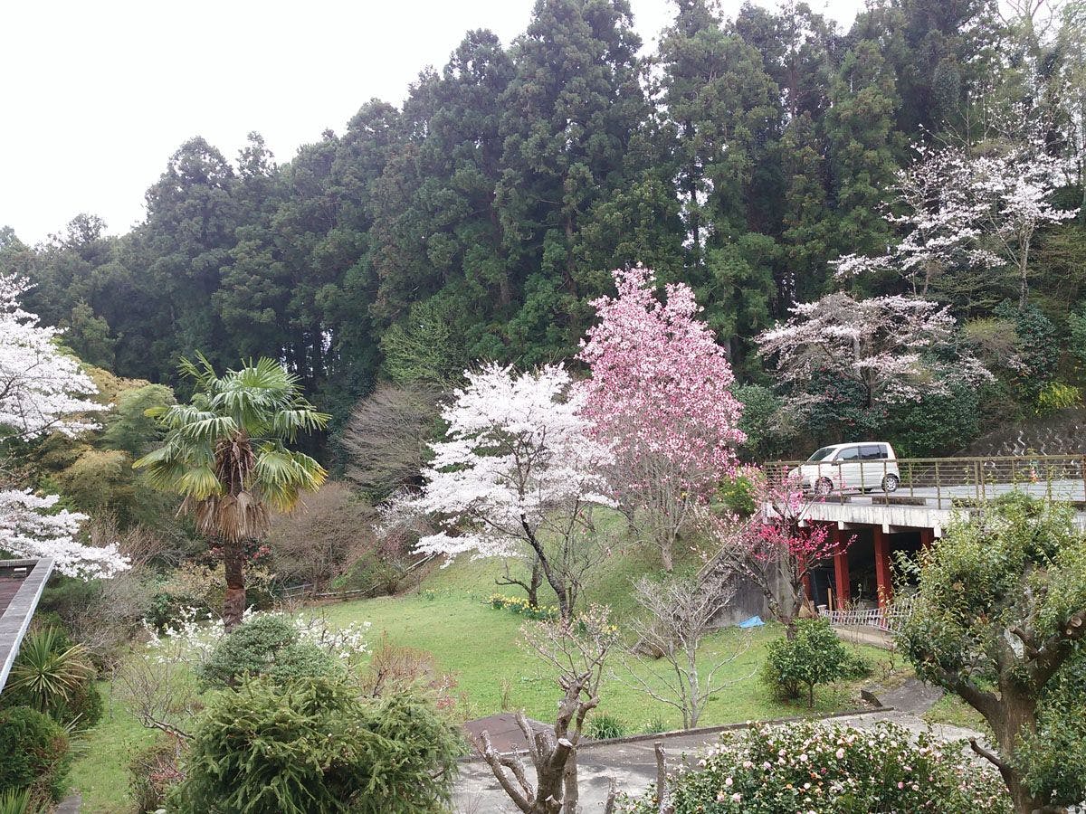 Iwaki Yumoto Onsenkyo Shiratori Onsen Harukiya Ryokan