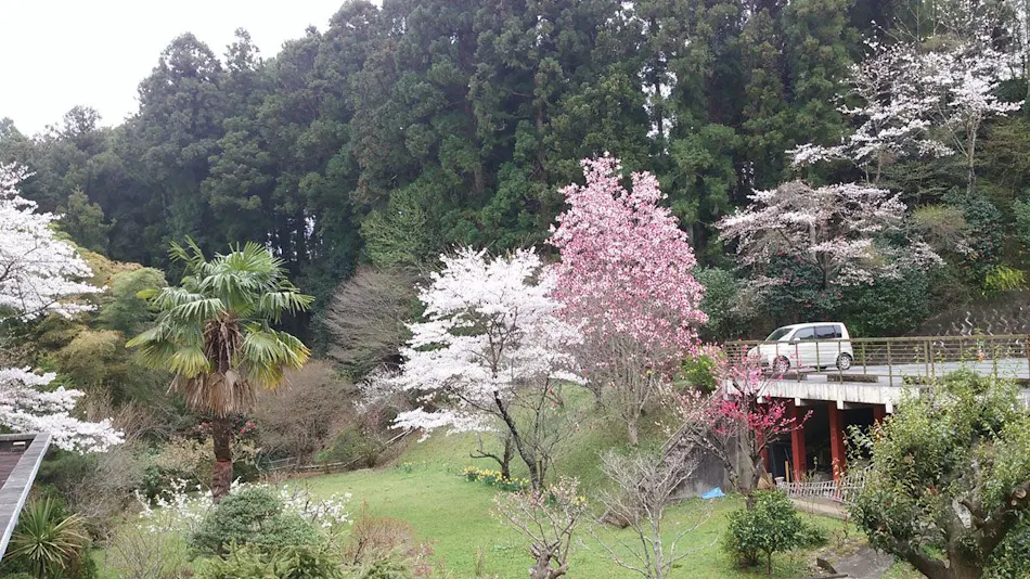 Iwaki Yumoto Onsenkyo Shiratori Onsen Harukiya Ryokan