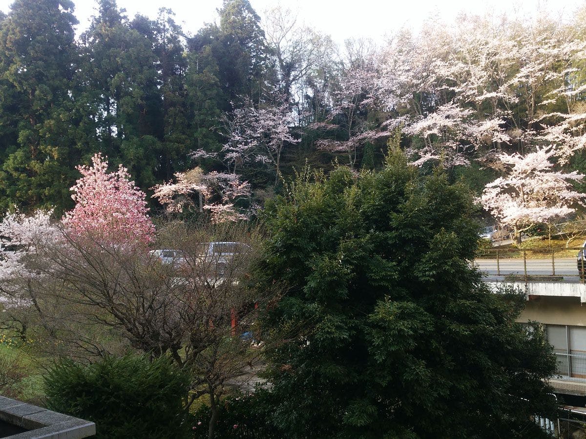 Iwaki Yumoto Onsenkyo Shiratori Onsen Harukiya Ryokan