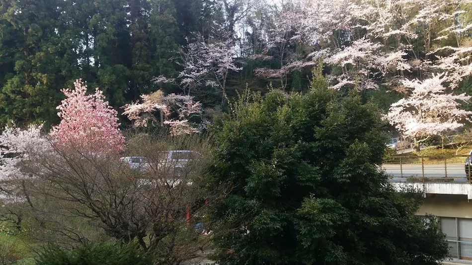 Iwaki Yumoto Onsenkyo Shiratori Onsen Harukiya Ryokan