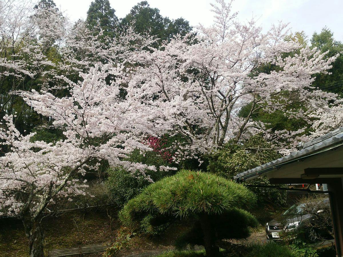 Iwaki Yumoto Onsenkyo Shiratori Onsen Harukiya Ryokan