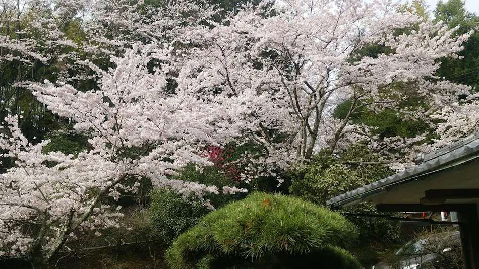 Iwaki Yumoto Onsenkyo Shiratori Onsen Harukiya Ryokan