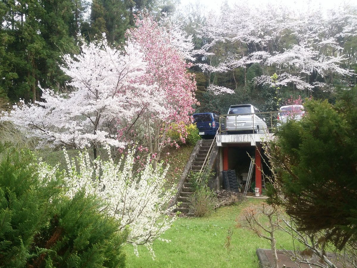 Iwaki Yumoto Onsenkyo Shiratori Onsen Harukiya Ryokan