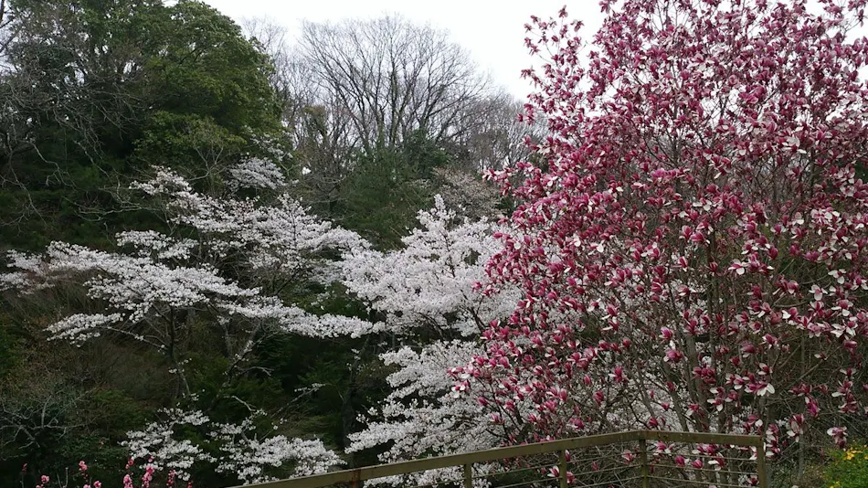 Iwaki Yumoto Onsenkyo Shiratori Onsen Harukiya Ryokan
