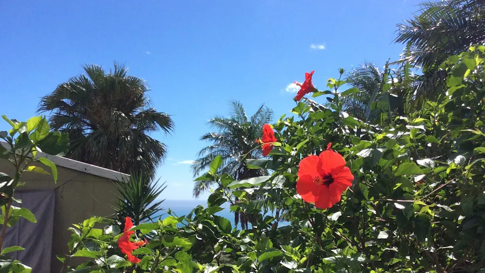 Surf Villa Narai