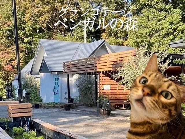 Grand Cottage Bengal Forest