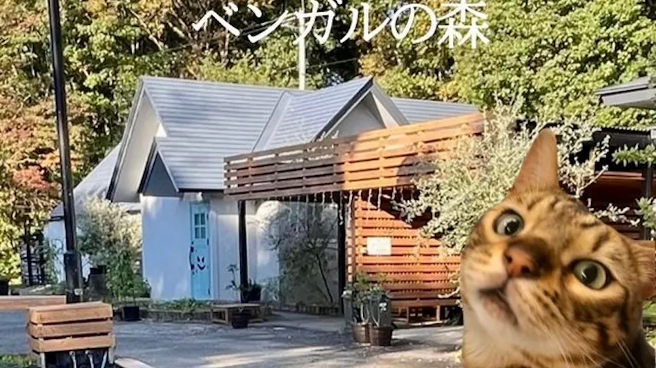 Grand Cottage Bengal Forest