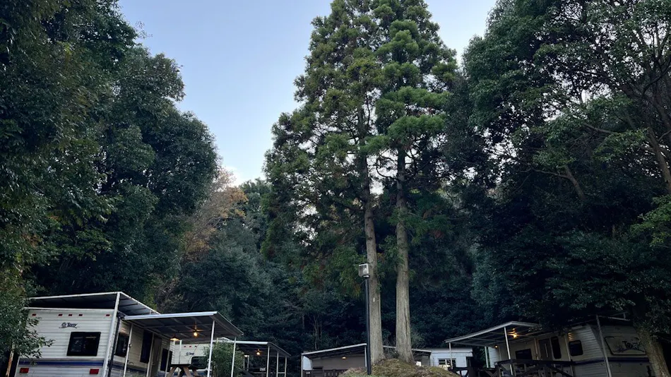 Network Resort Nansei