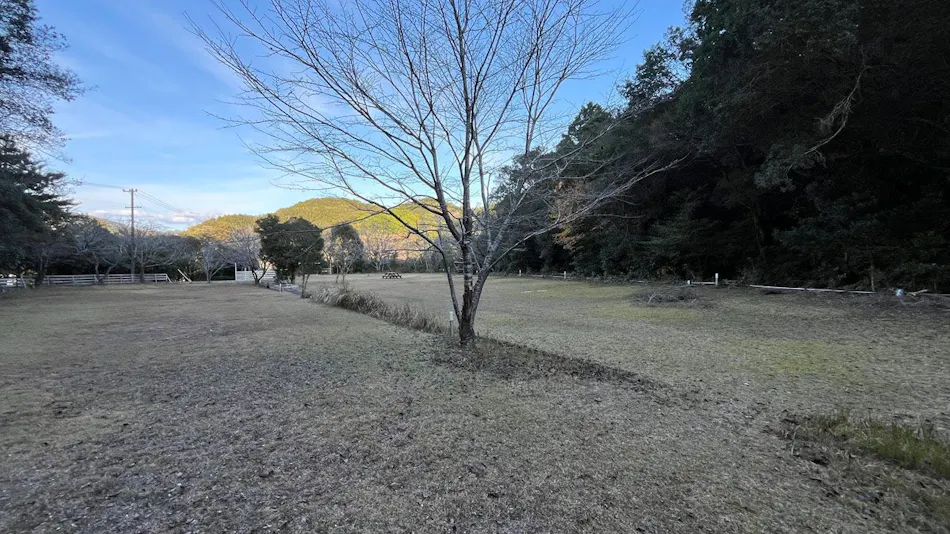 Network Resort Nansei