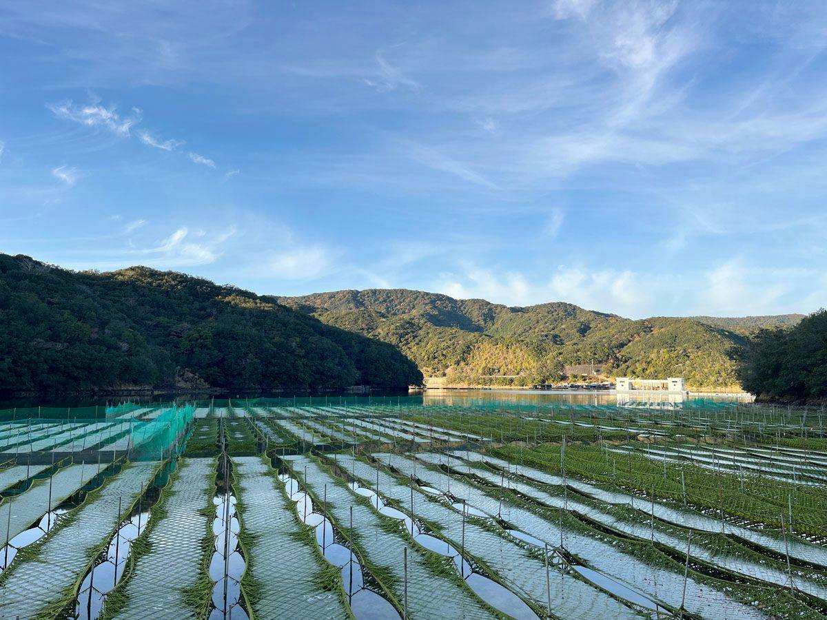Network Resort Nansei