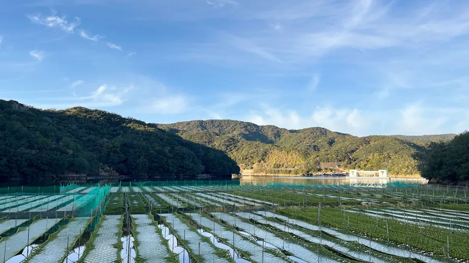 Network Resort Nansei