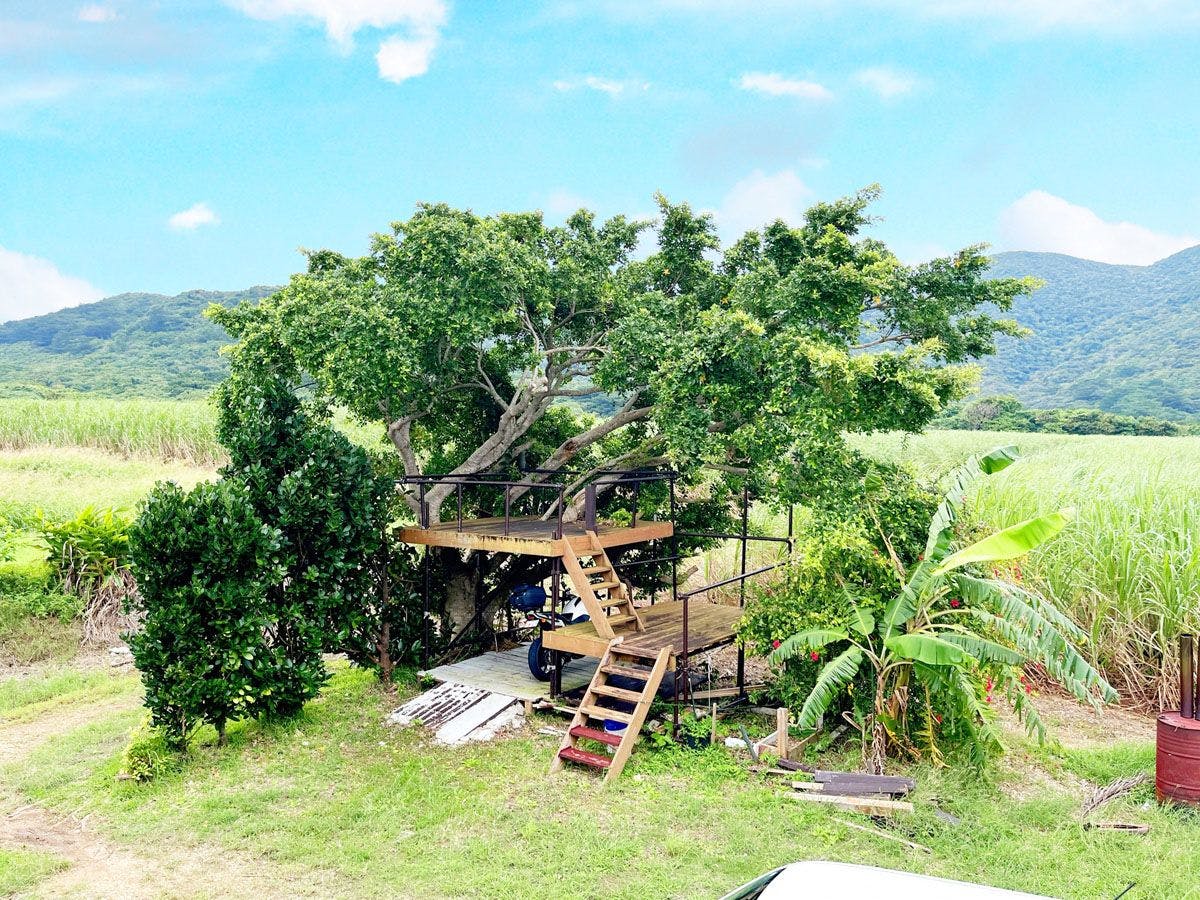 ระเบียงไม้ล้อมรอบด้วยต้นไม้